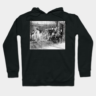 Jazz Band Entertaining Polar Bears, 1925. Vintage Photo Hoodie